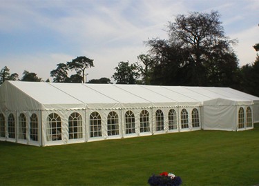 tent519